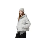 J112 서리 포레스트 계열 그레이