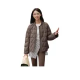 H220 가을 체스트넛 커피