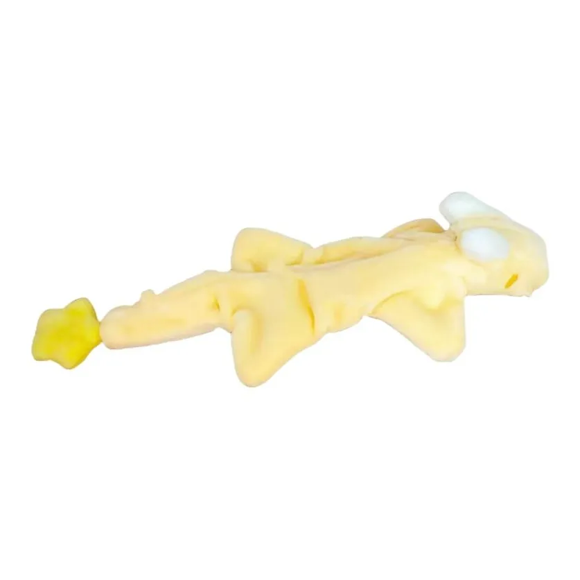 Pampered Journal DIY Dream Dragon Doll Запись Материал Kit Сделано своими руками Плюшевая кукла DIY Игрушки