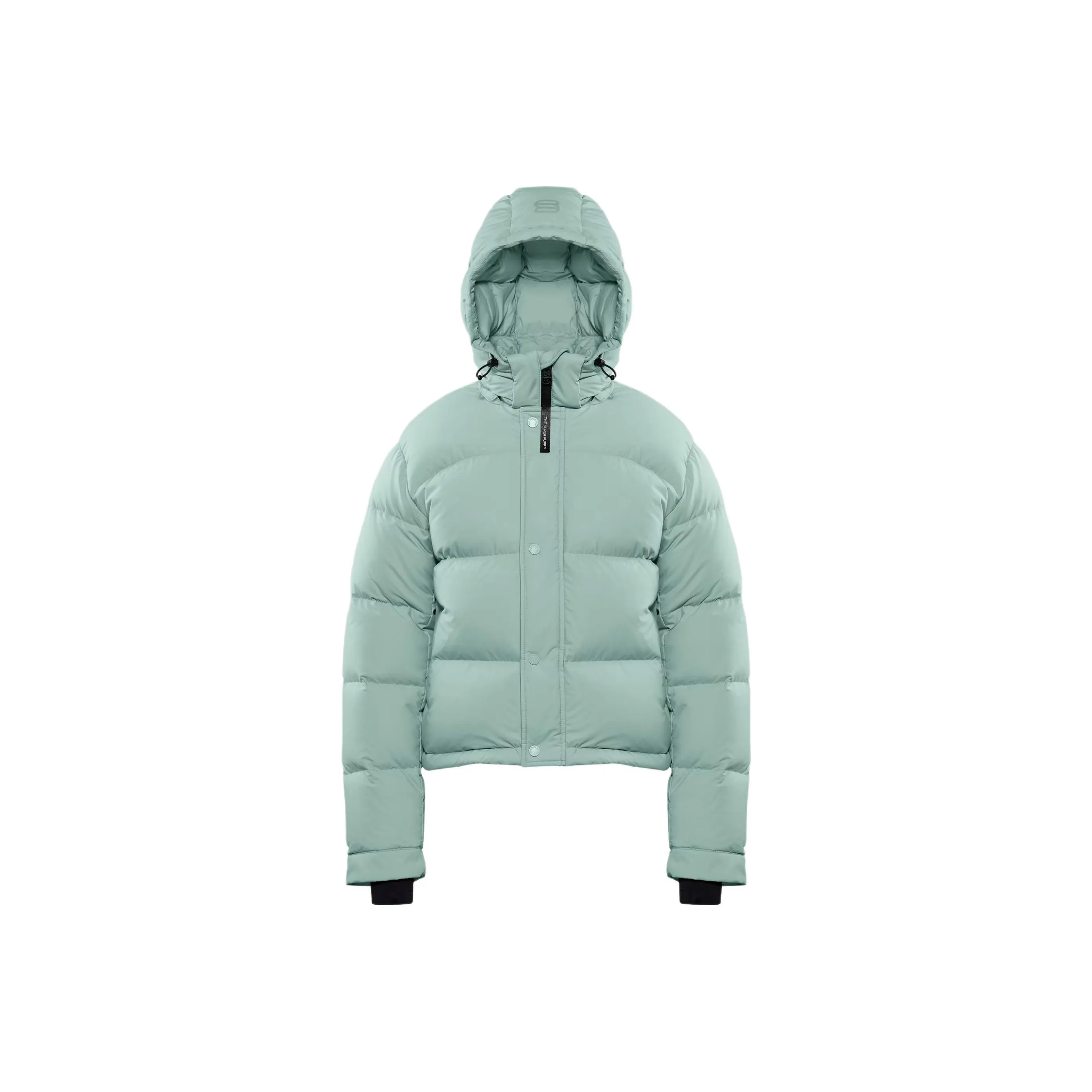 ARITZIA The Супер Пуш™ CliMATTE™ Пуховик Женские