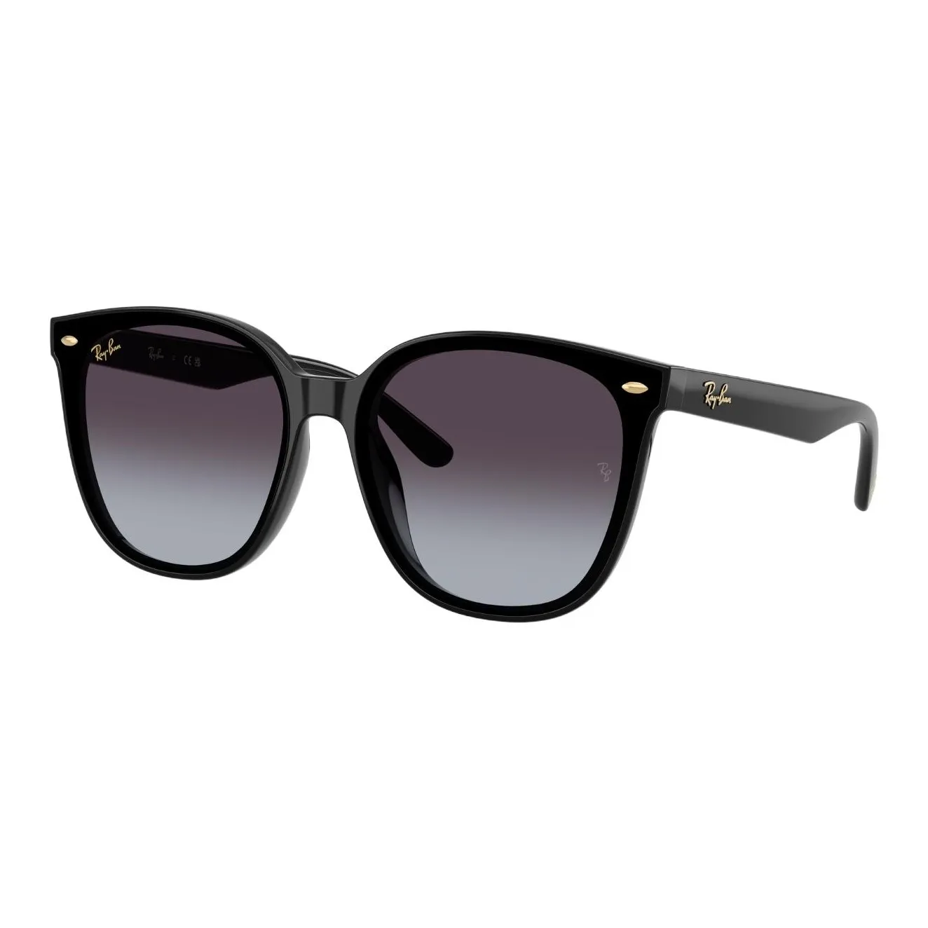 RayBan OVAL SUNGLASSES Унисекс Черный