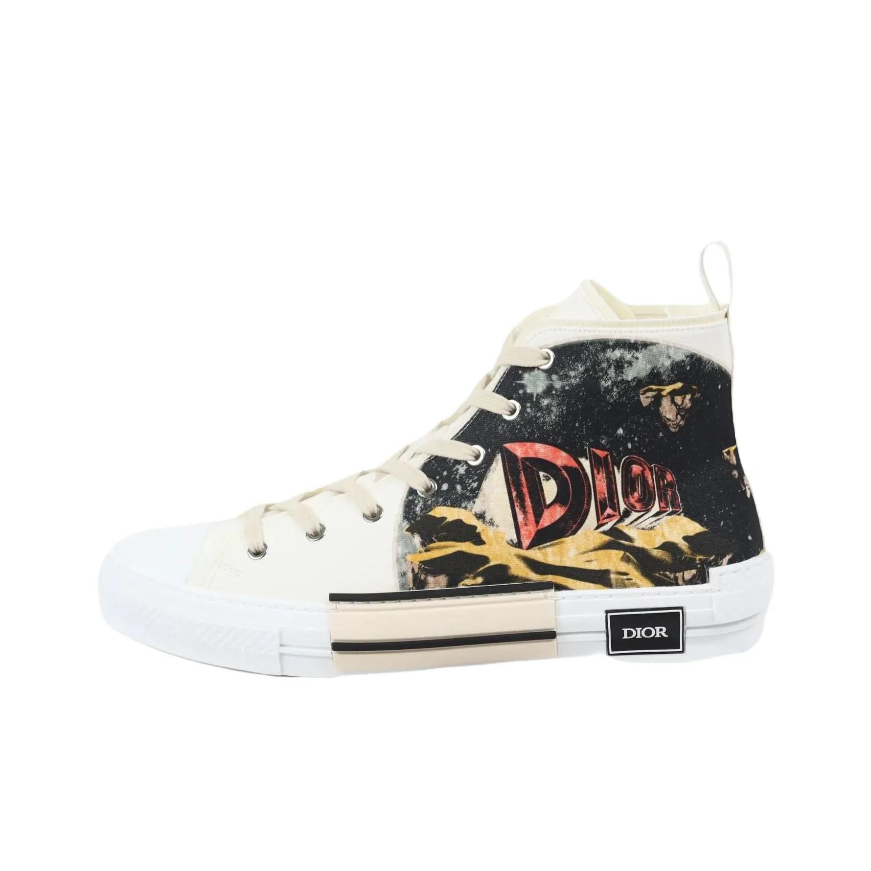 DIOR B23 Canvas Shoes Men High Top Black/White