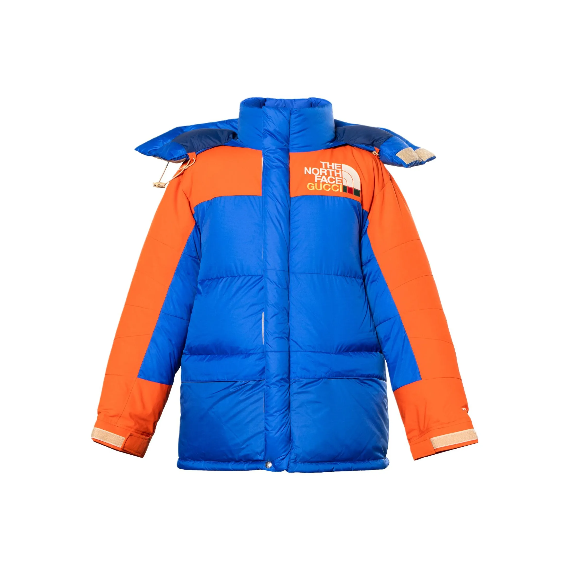 The North Face X GUCCI X The North Face Down Jackets Men