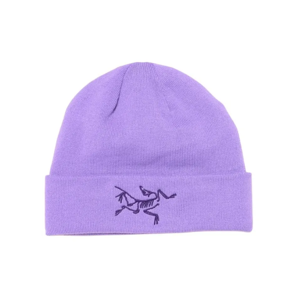 Arcteryx Полиэстер Переработанный Beanies Унисекс Фиолетовый
