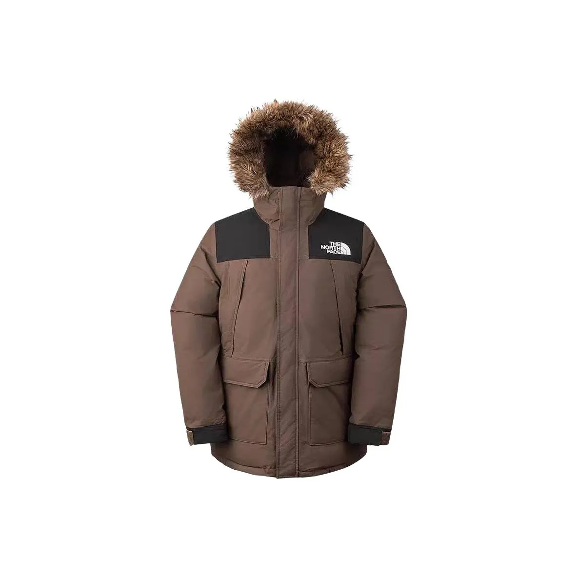 THE NORTH FACE Down Jackets & Coats Men Brown