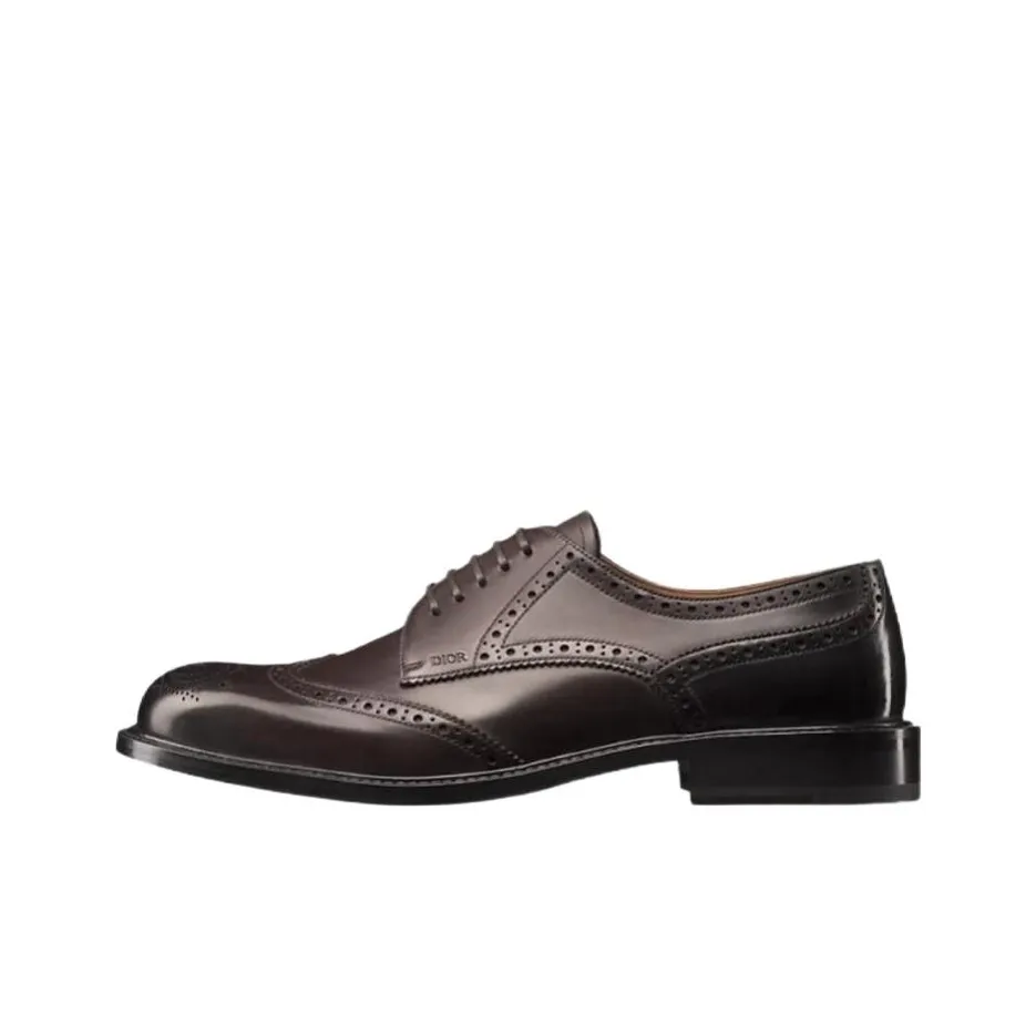 DIOR Embassy Dress Shoes Men Low-Top Brown