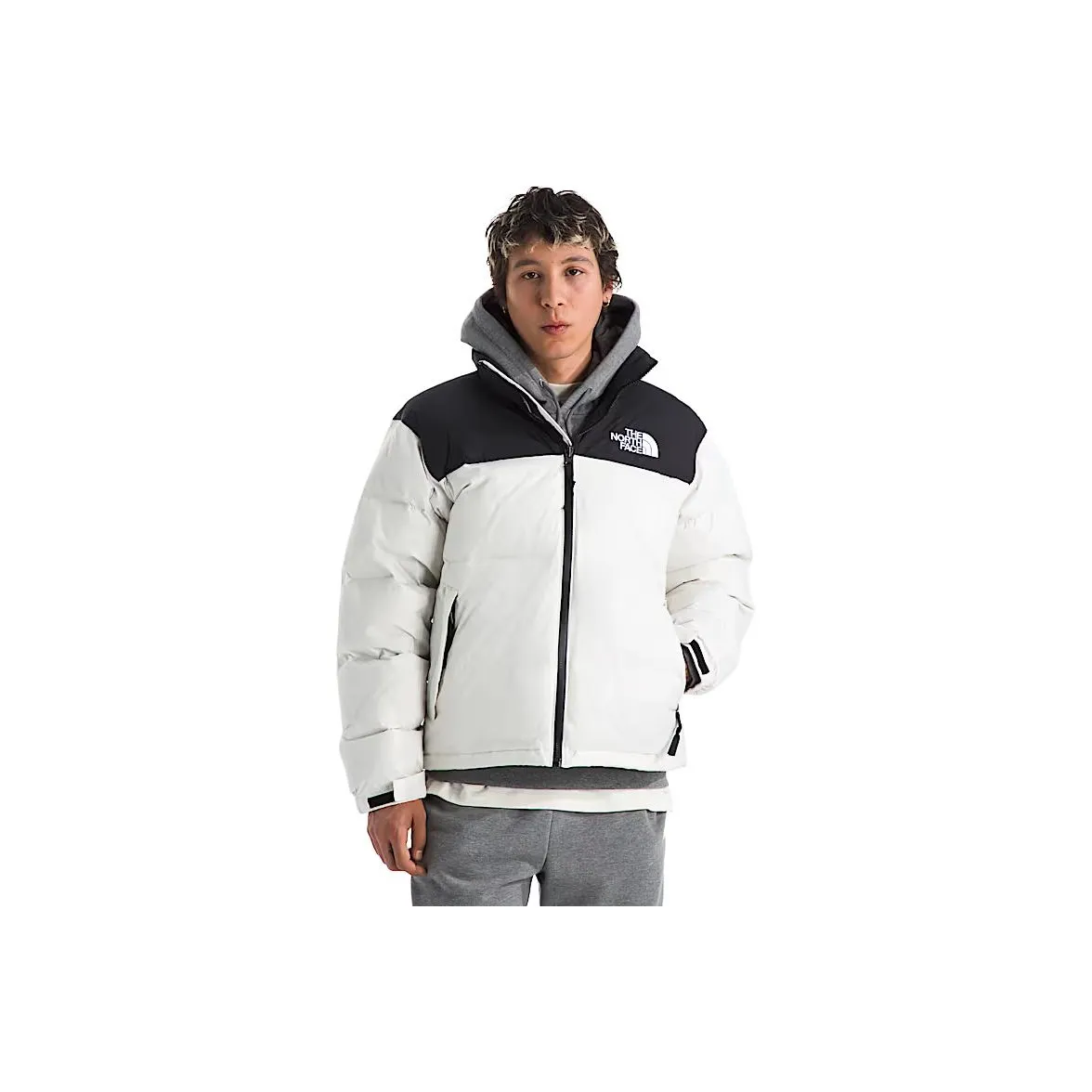 The North Face Nuptse 1996 Ретро Пуховики и зимние пальто Мужские