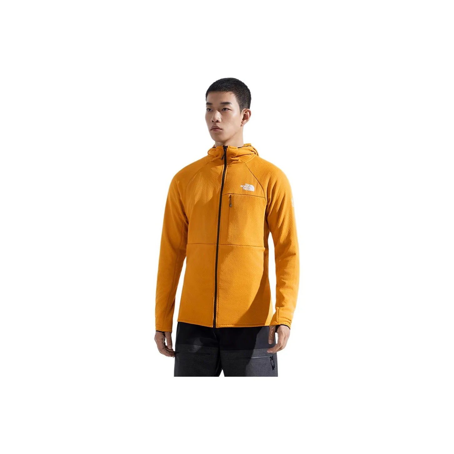 The North Face Summit series FUTUREFLEECE Флис Одежда Мужская