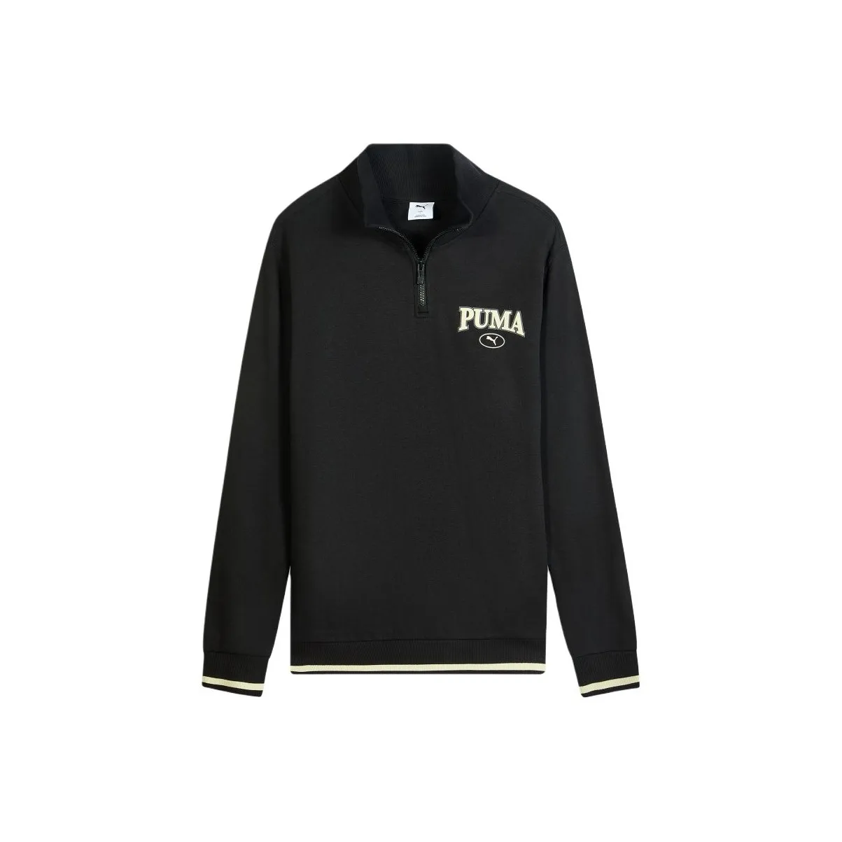 PUMA SQUAD Fw25 TR Свитшот с высоким воротником Мужской