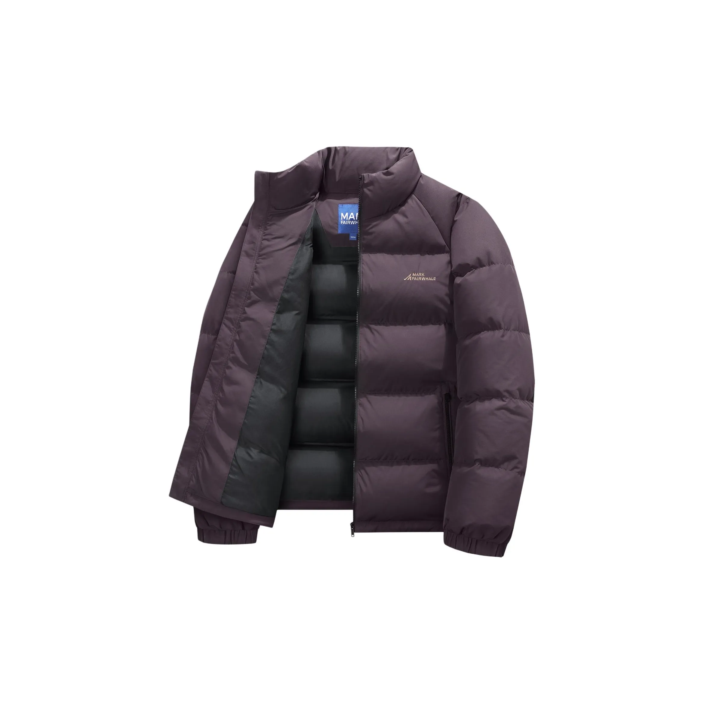FAIRWHALE Фиолетовый Мужской Пуховик