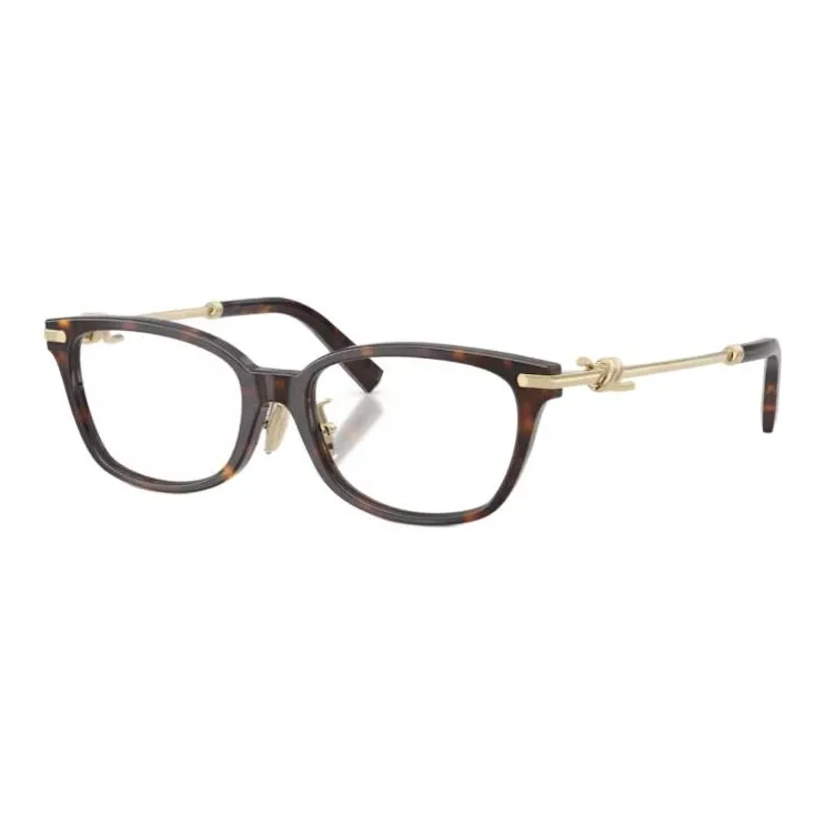 TIFFANY CO. Пластина And Металл Круглые Очки с диоптриями Женские Черепаховый