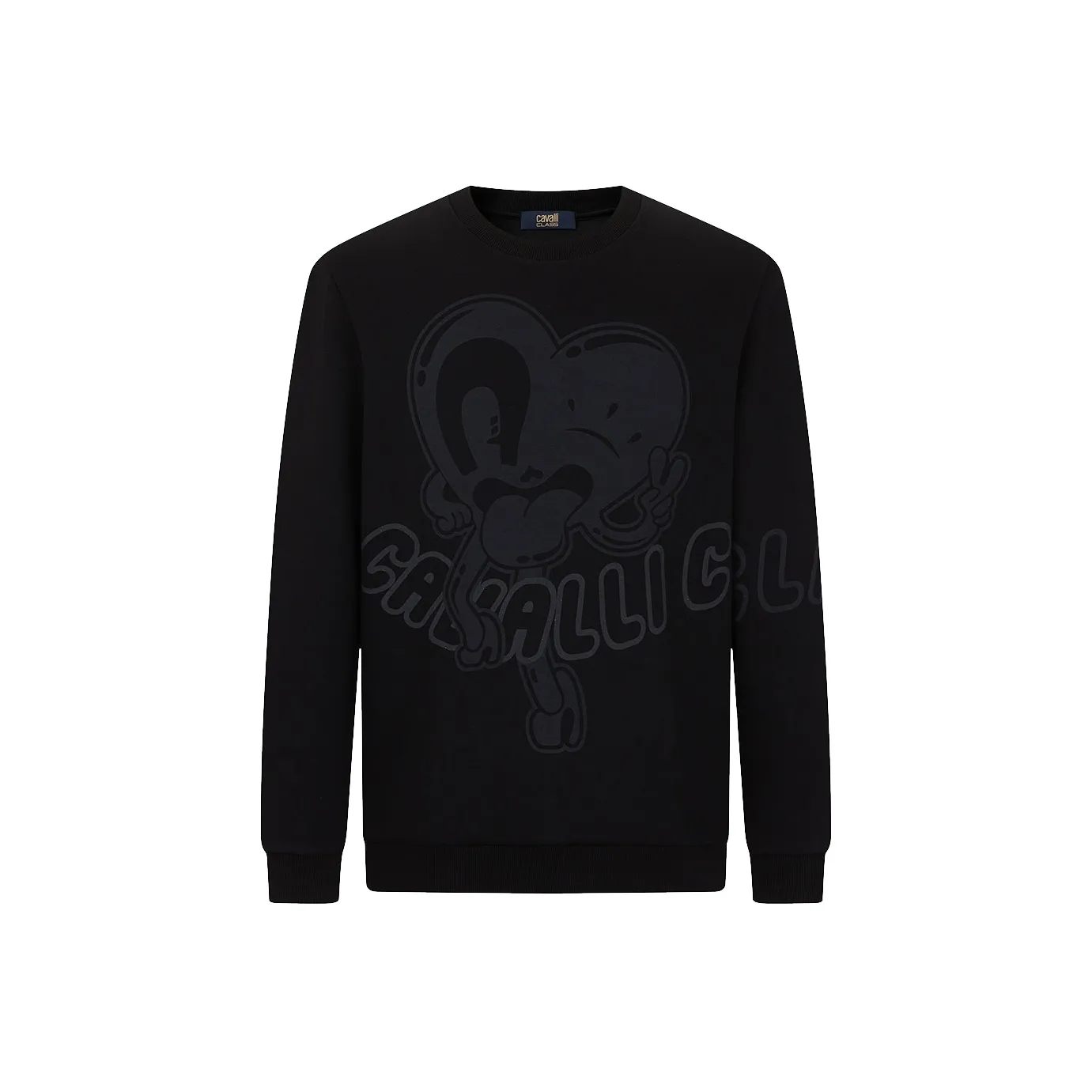 Cavalli Class Мужские Свитшоты