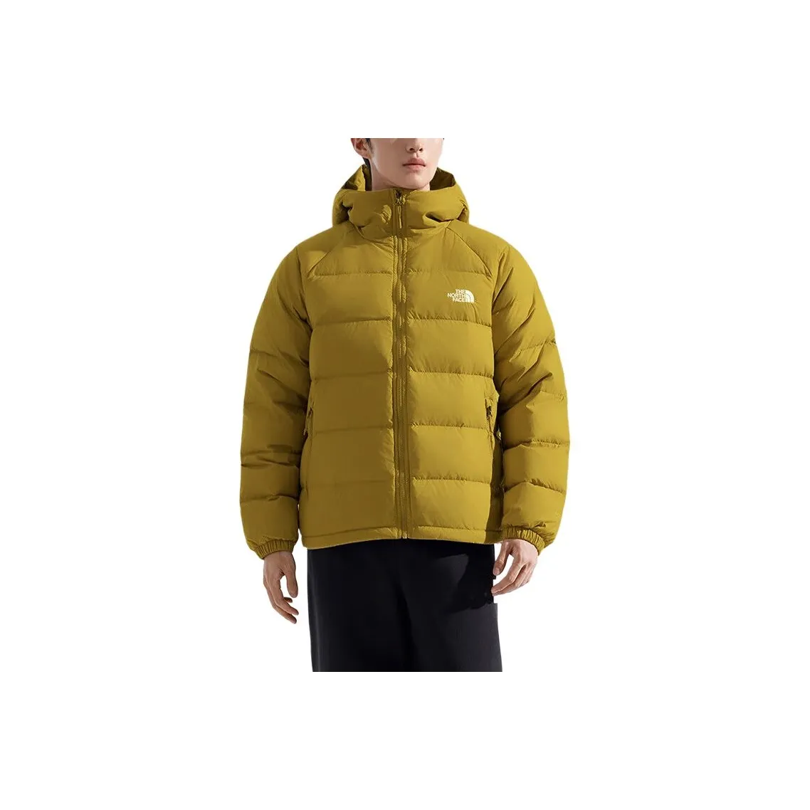 The North Face Пуховики и зимние пальто Мужской