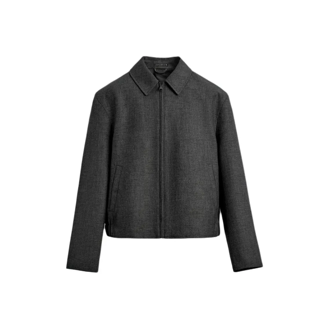 ZARA Collaboration Зебра с принтом Серый Мужской Куртка