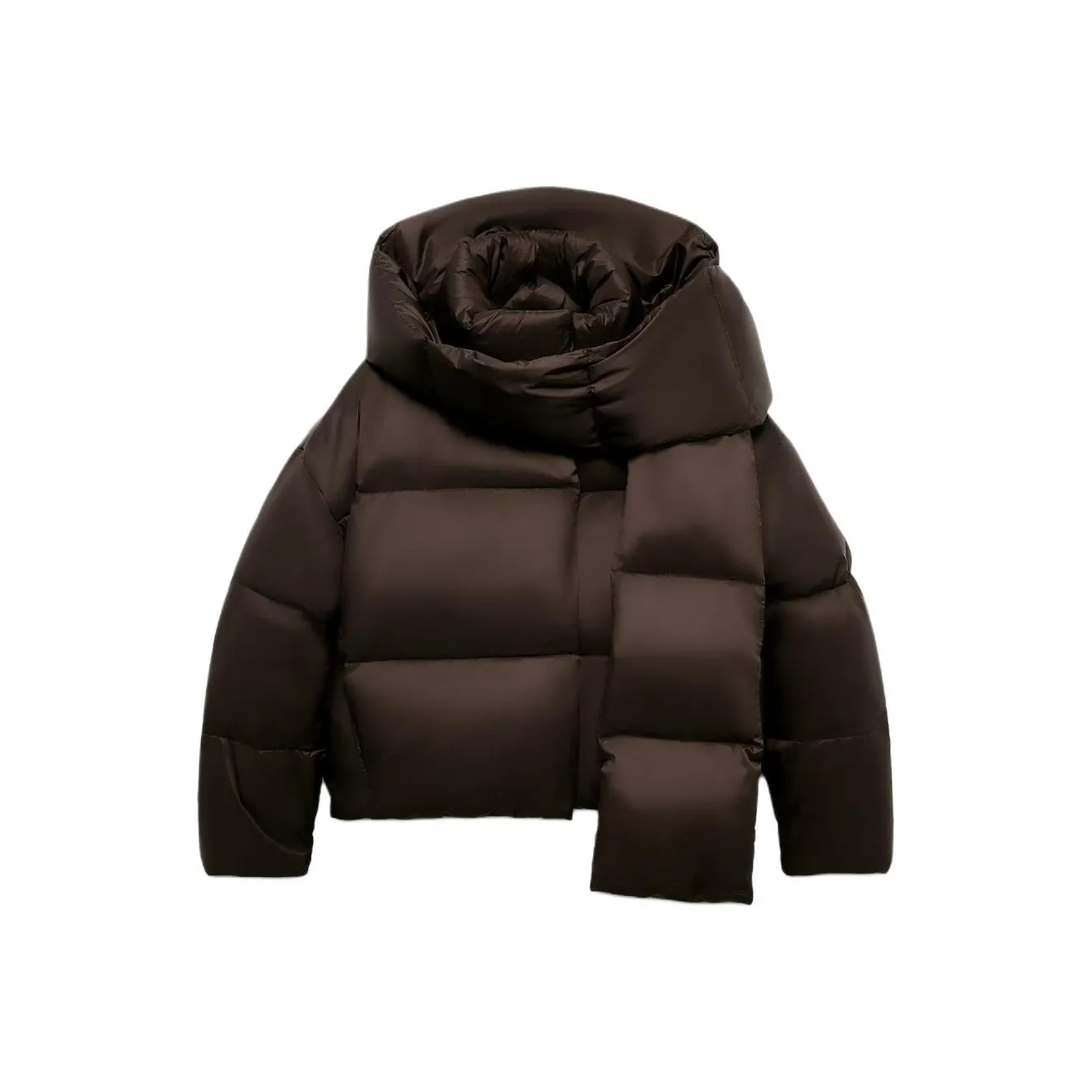 ZARA Collaboration Коричневый Женские Пуховики