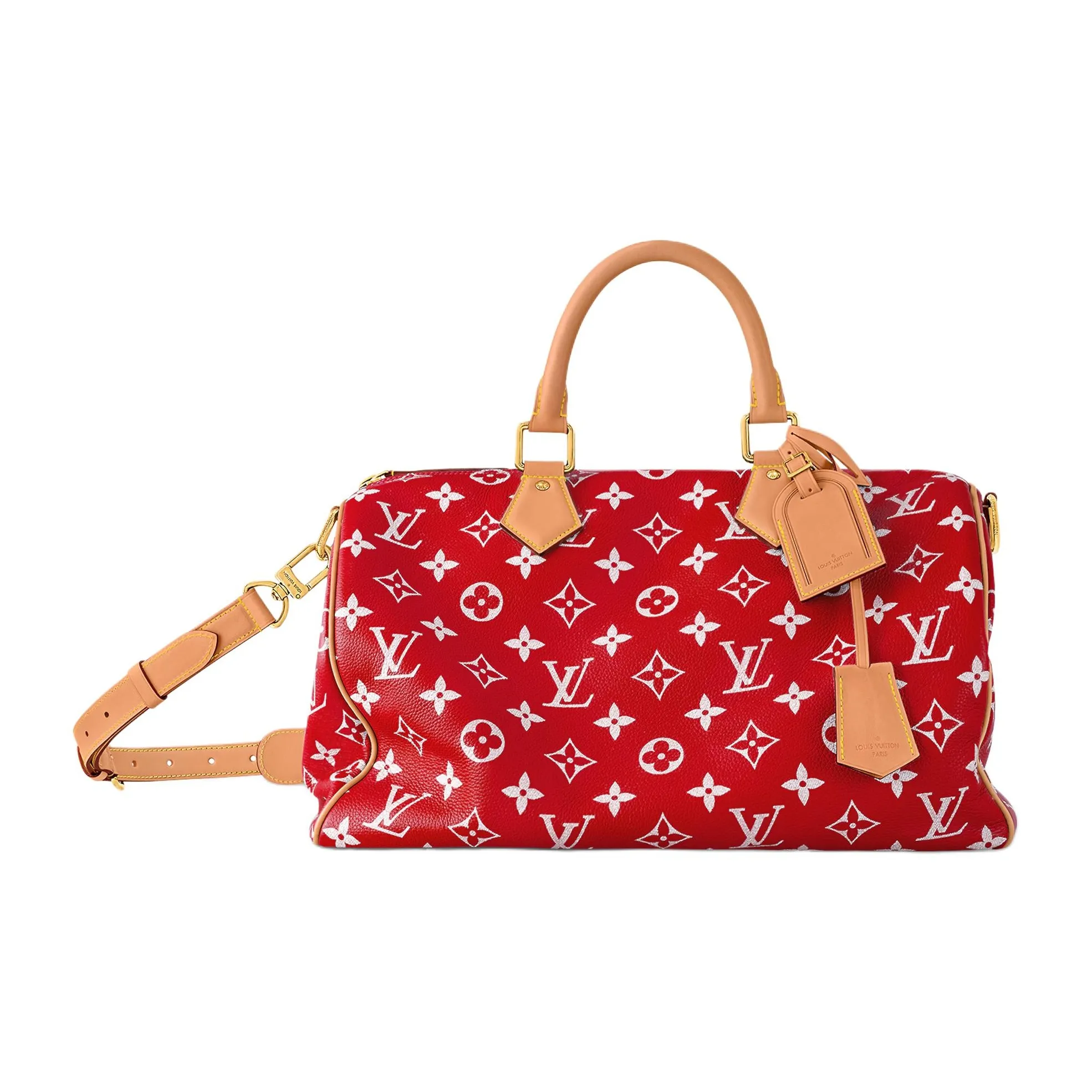 LOUIS VUITTON Speedy Handbags