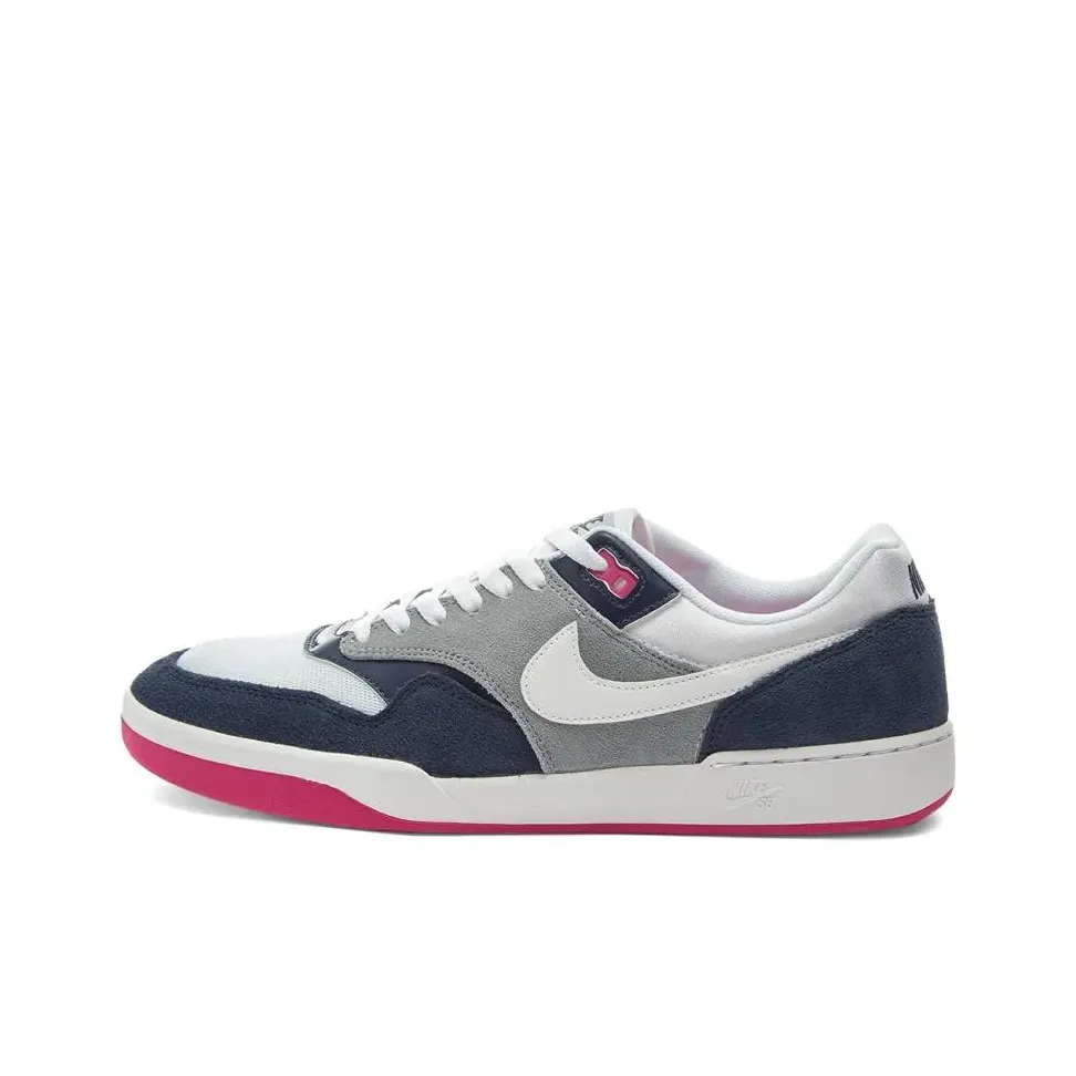 Nike GTS Skateboard Shoes Men Low Top Gray Blue Pink