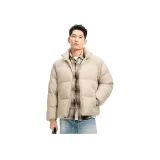 샌드 브라운 색상