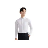 화이트