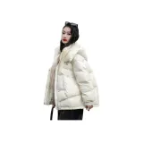 베이지