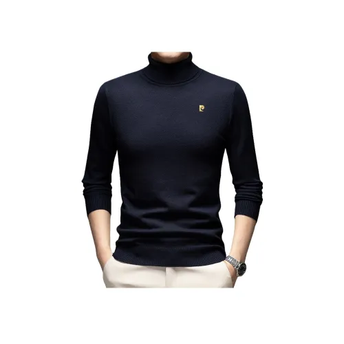 PIERRE CARDIN Мужские свитеры