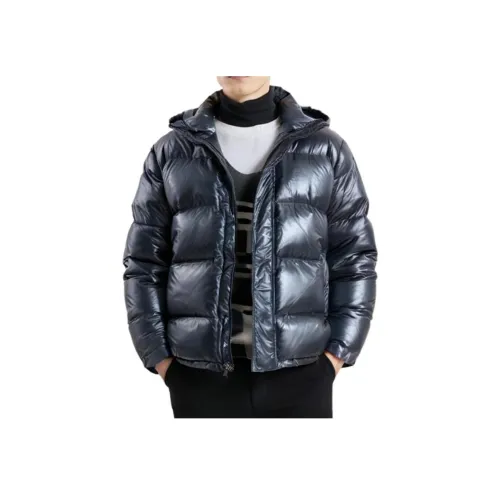 ARITZIA Мужские пуховики
