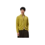 머스터드 옐로우