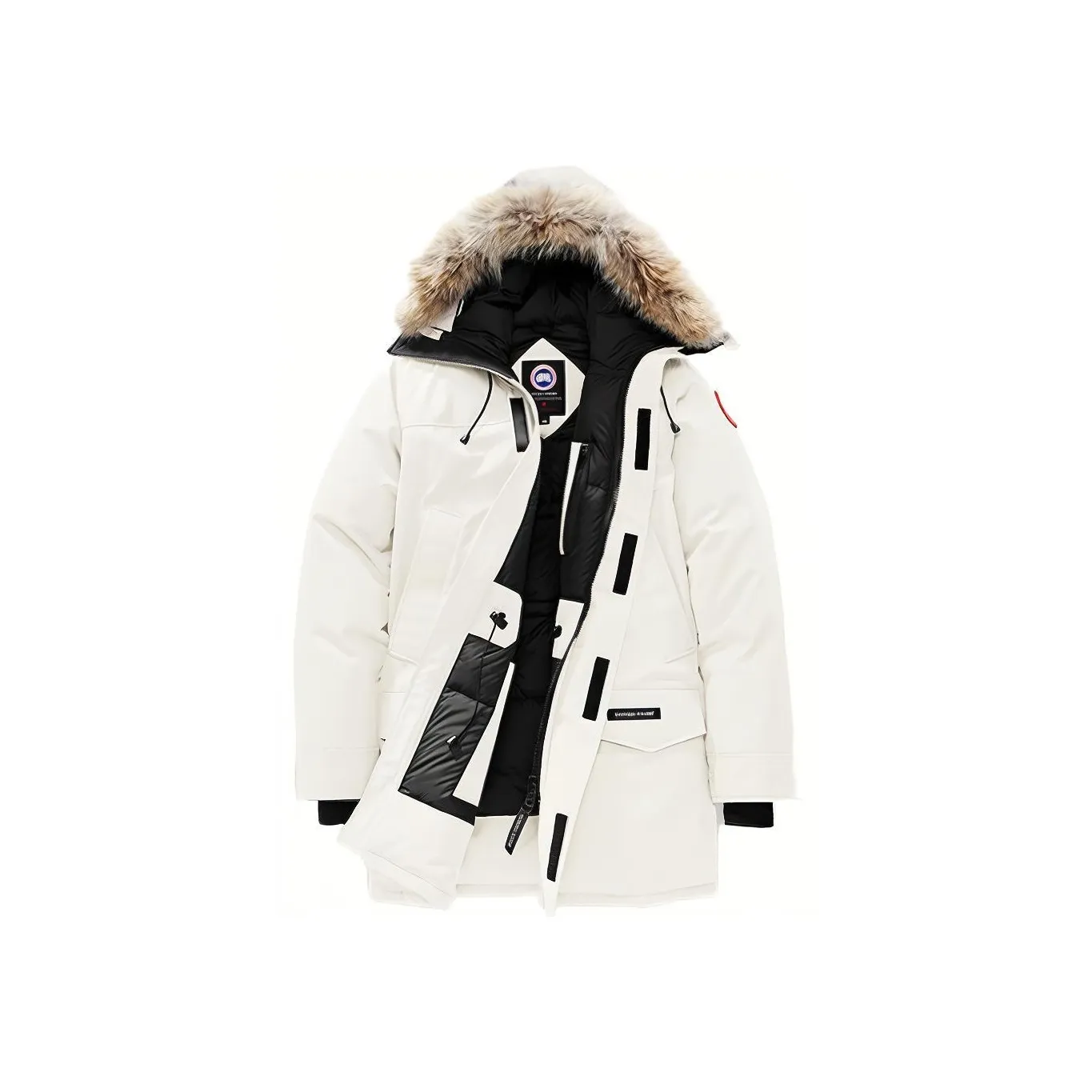 Canada Goose Langford Fusion Fit Parka Early Light