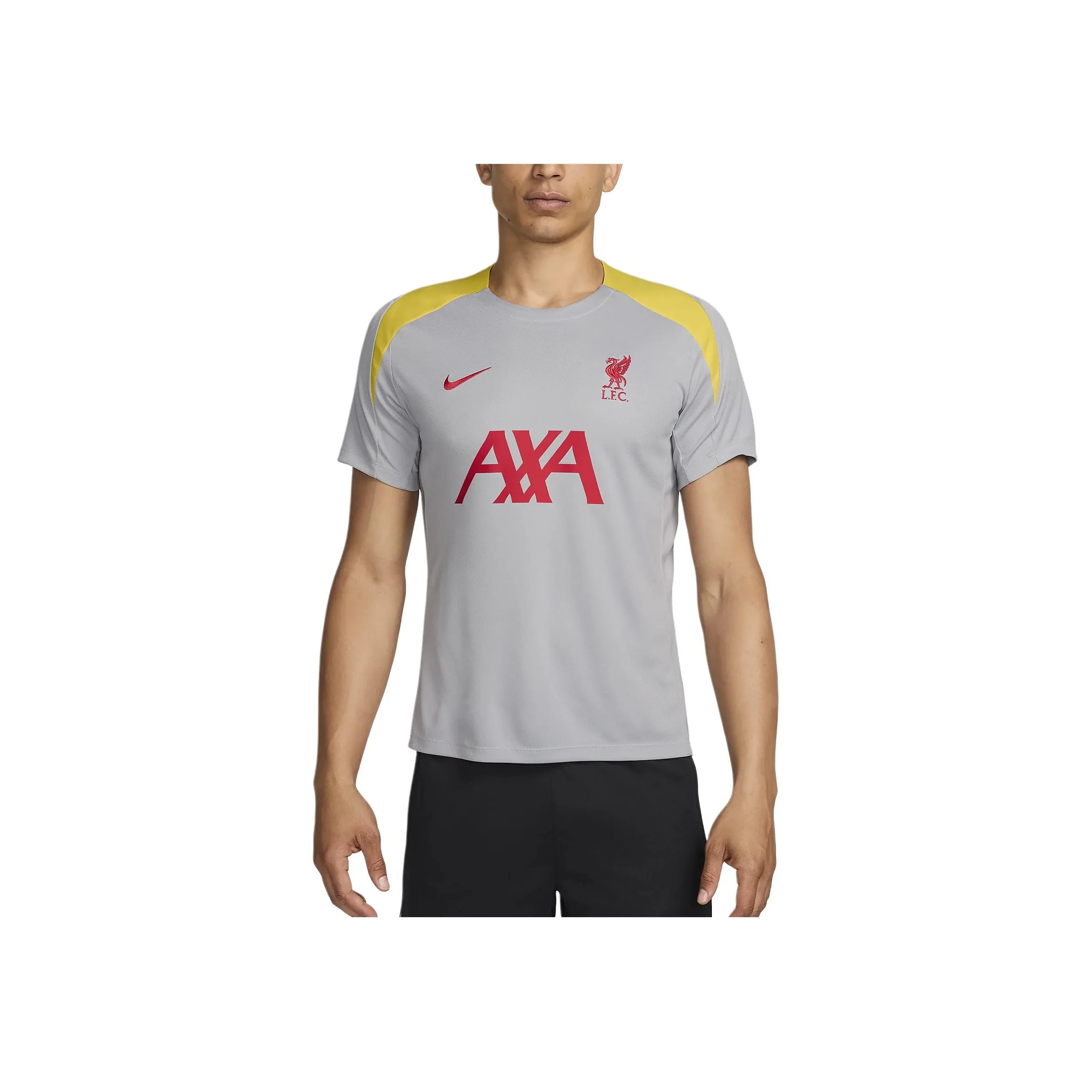 Nike LiverpoolDri Fit FW24 F.C. Strike Third Soccer Jerseys Men's Light Smoke Gray