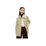 쑥 색상