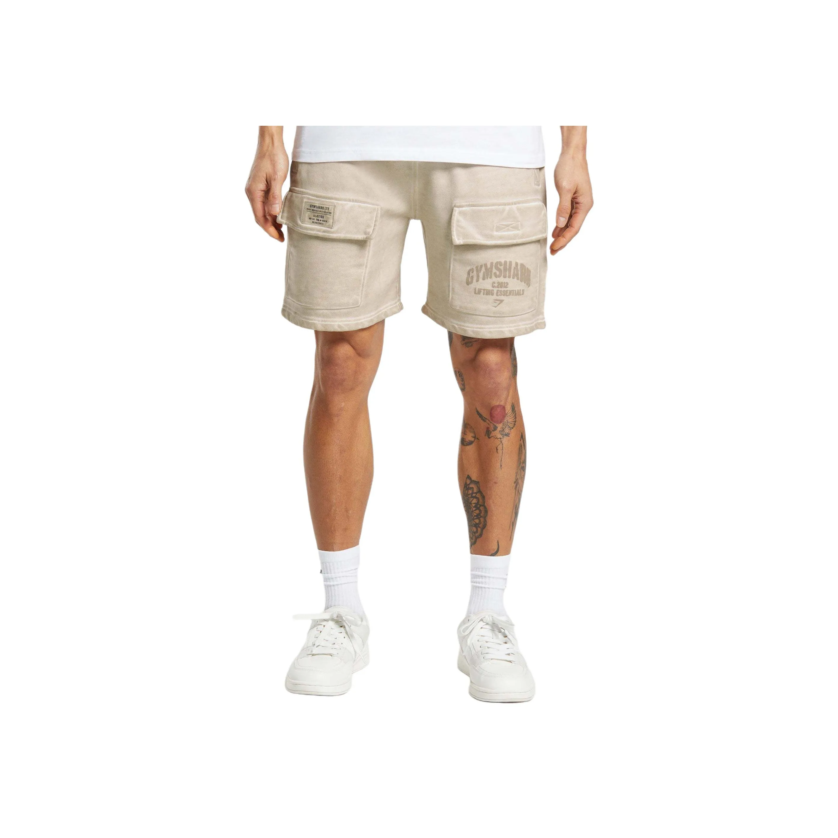 GYMSHARK HEAVYWEIGHT WASHED CARGO SHORTS Cargo Shorts Men's Pebble Gray