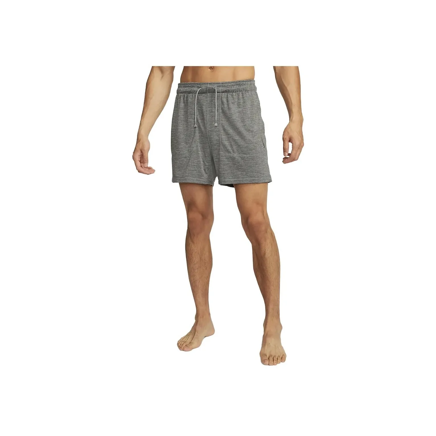 Nike Sports Shorts Men Gray