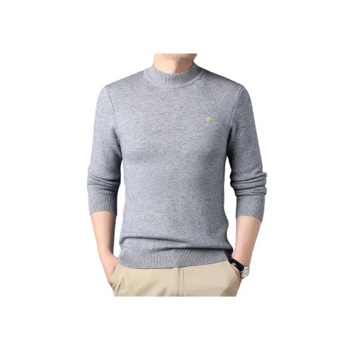 PIERRE CARDIN Мужские свитеры