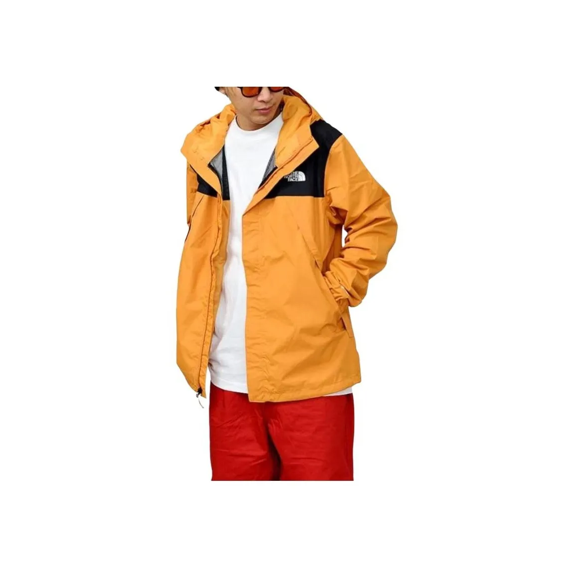 THE NORTH FACE Waterproof And Windproof Windbreaker Jacket Men's