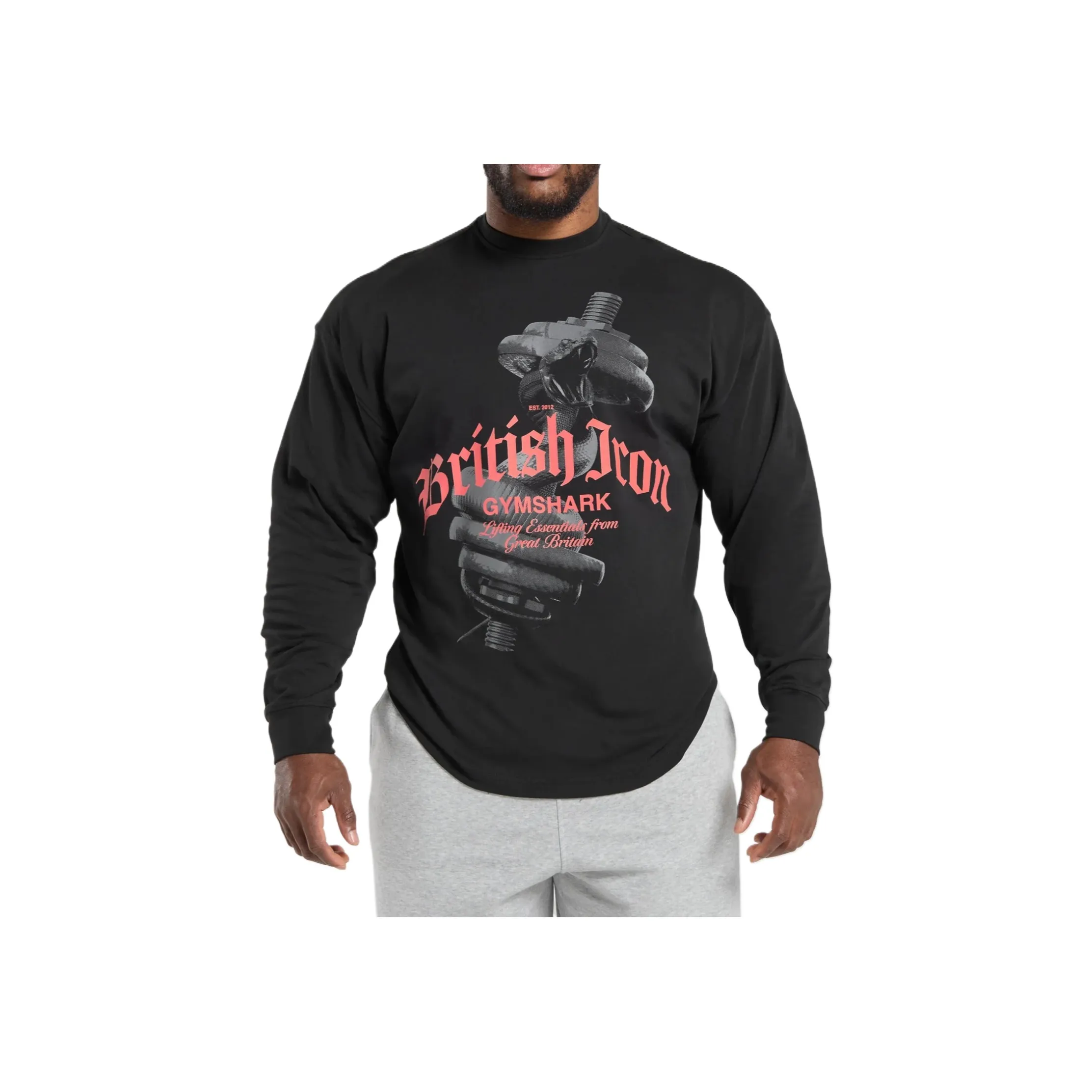 GYMSHARK Мужские T-рубашки