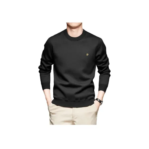 PIERRE CARDIN Мужские свитеры