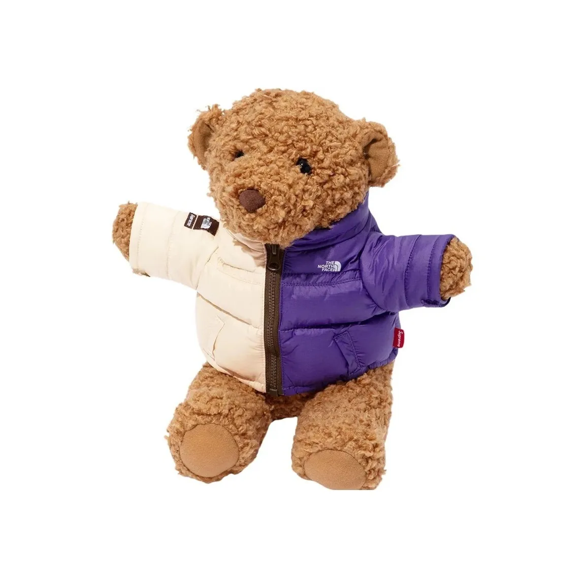 Supreme The North Face Bear Multicolor