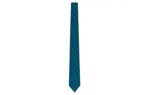 LOUIS VUITTON Ties Unisex Dark Blue