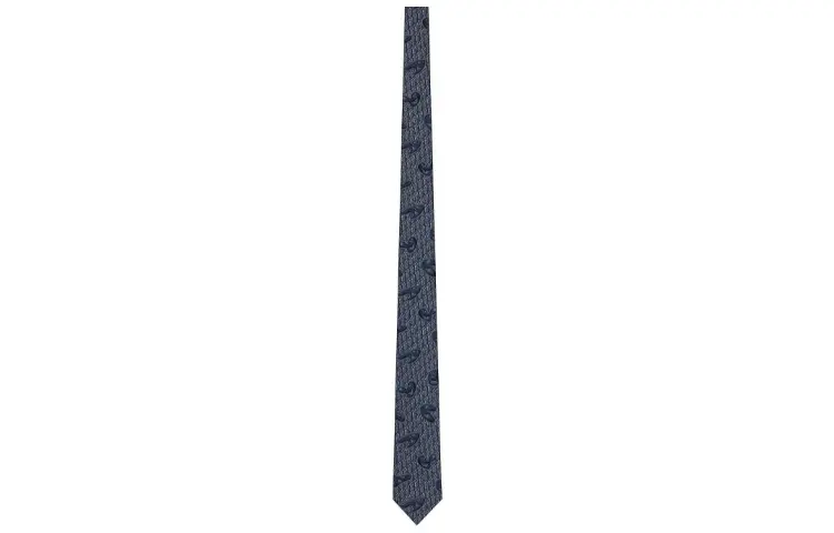 DIOR Ties Men's Blue