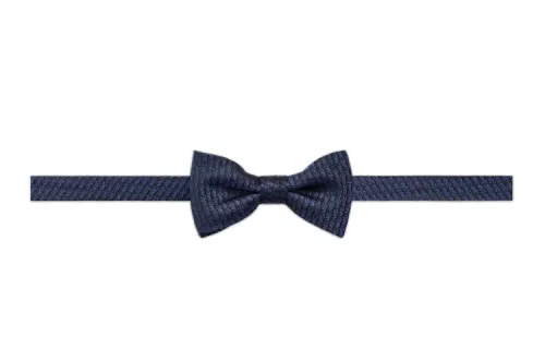 DIOR Mulberry Silk Bow Ties Men's Blue