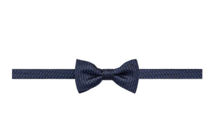 DIOR Mulberry Silk Bow Ties Men's Blue