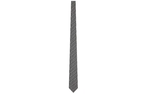 DIOR Ties Men's Gray