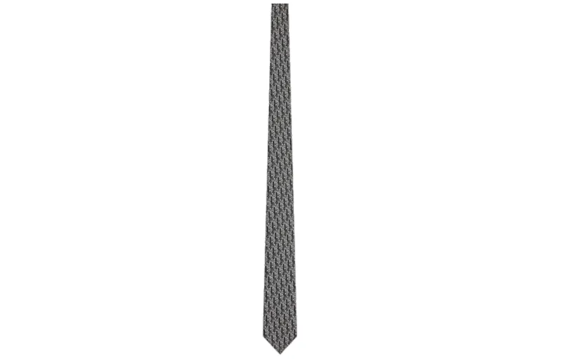 DIOR Ties Men's Gray