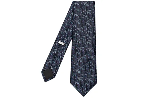 DIOR Ties Men's