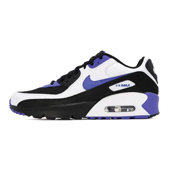 Nike Air Max 90 LTR Persian Violet GS