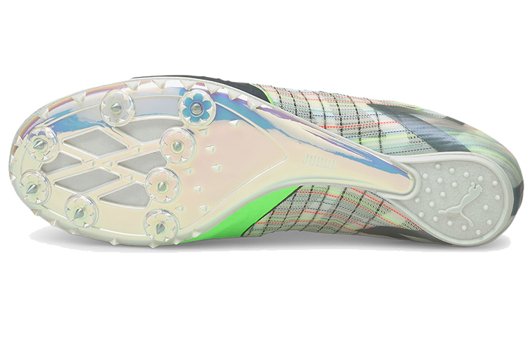 PUMA Evo Speed Tokyo Future 2 Spectra — оформить заказ