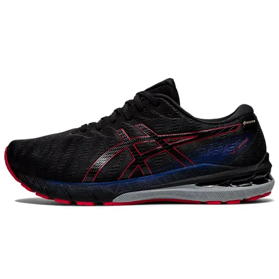 Asics GT 2000 10 GTX 'Graphite Grey'