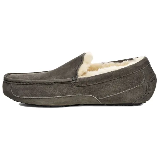 UGG Ascot Slipper Charcoal Women's