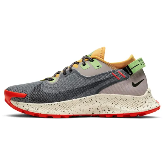 Nike Pegasus Trail 2 Gore-Tex Smoke Grey Bucktan Women's