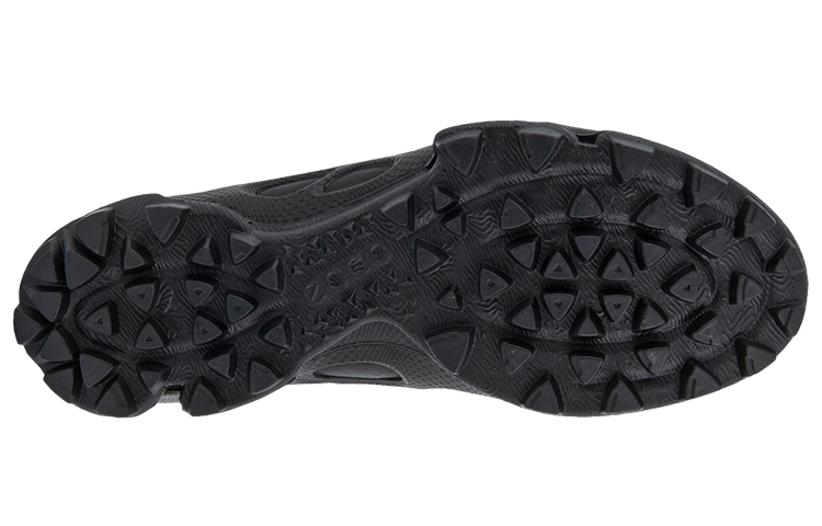 ecco Biom C Trail